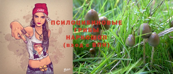 ECSTASY Алексин