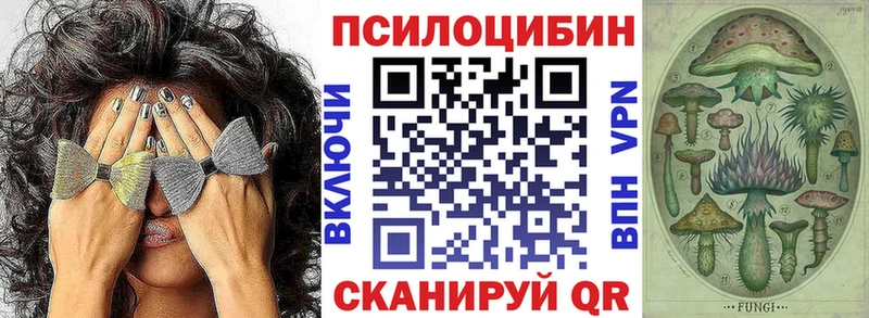 Псилоцибиновые грибы прущие грибы  купить   Грайворон 